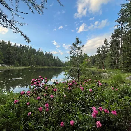 Apartmán Chesa Munteratsch 1-zimmerwohnung 511 Typ A
