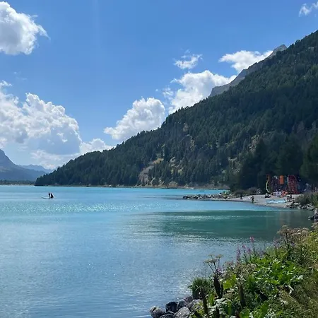 Chesa Munteratsch 1-zimmerwohnung 511 Typ A Silvaplana