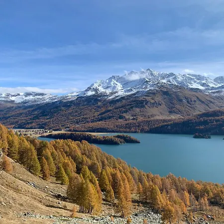 Apartamento Chesa Munteratsch 1-zimmerwohnung 511 Typ A *