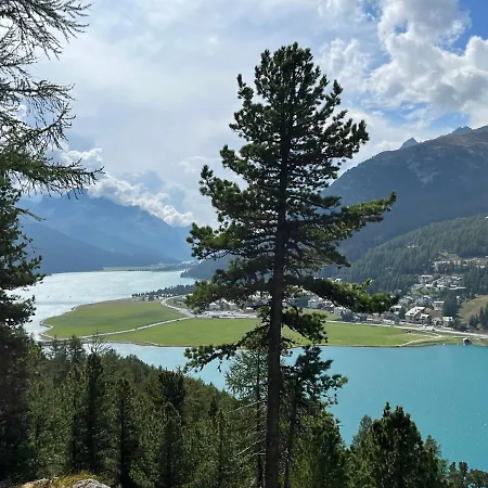 Apartamento Chesa Munteratsch 1-zimmerwohnung 511 Typ A