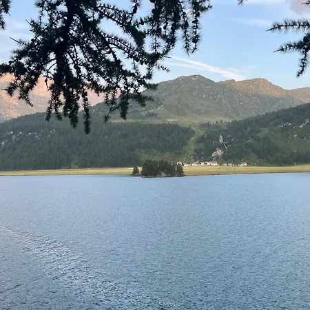 Chesa Munteratsch 1-zimmerwohnung 511 Typ A Apartamento Silvaplana