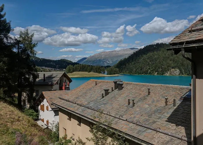 Chesa Munteratsch 1-zimmerwohnung 511 Typ A Silvaplana